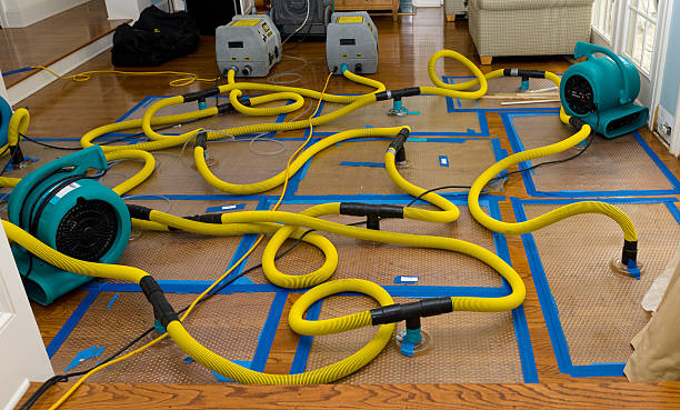 Professional Basement Flood Cleanup technician working in Mountain Home AFB, ID